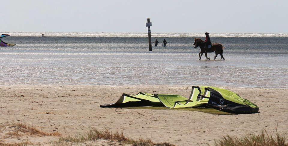 Fewo-Nordsee-Whg-11 Sankt Peter-Ording Eksteriør bilde